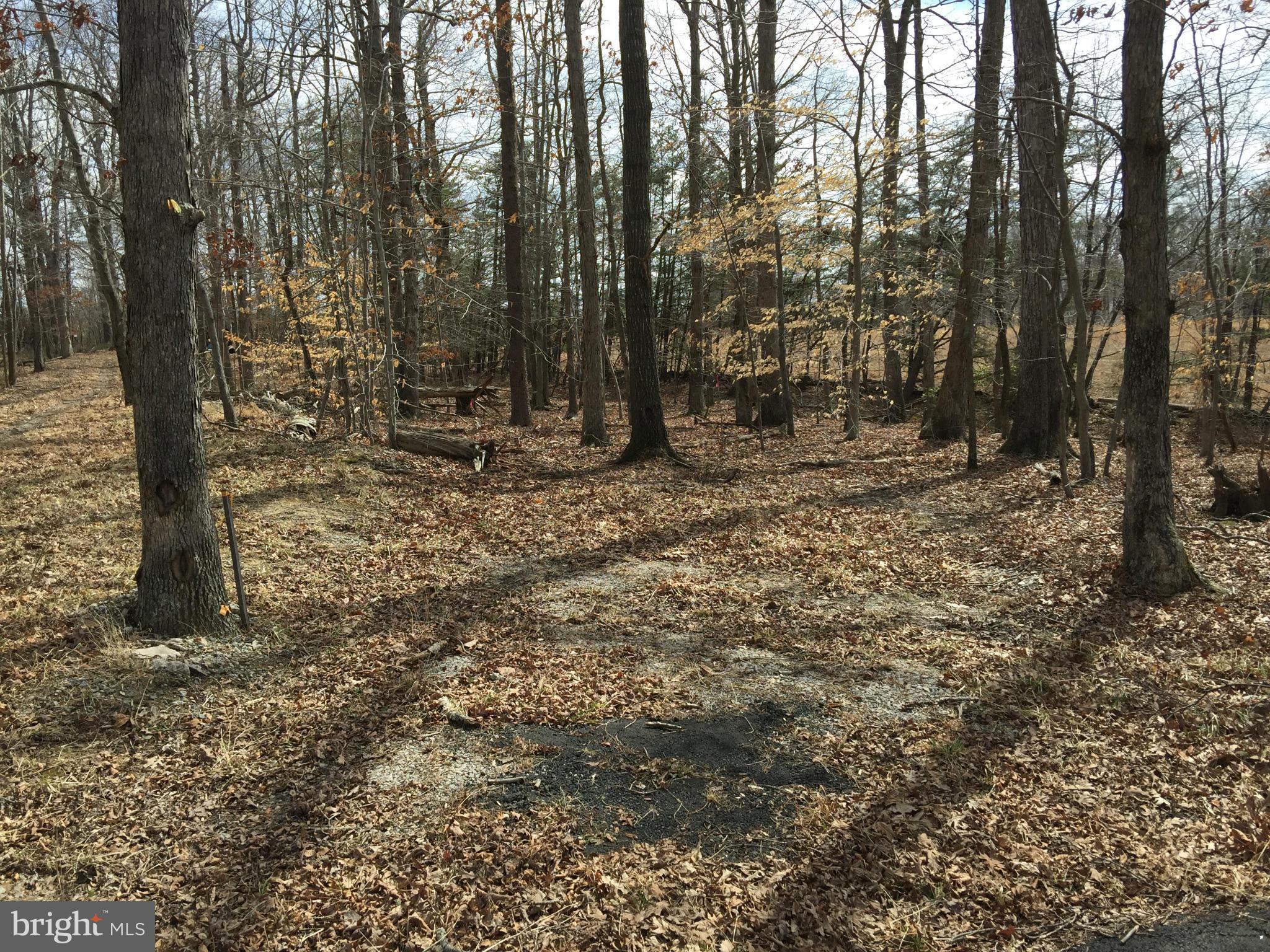 JERRY CAROTHERS PROPERTY - Land