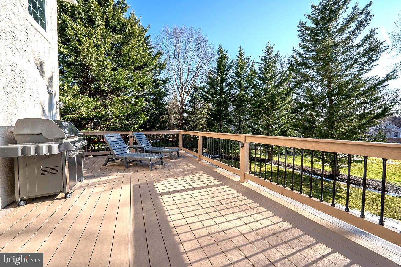 GREENS @ WAYNESBOR - Residential