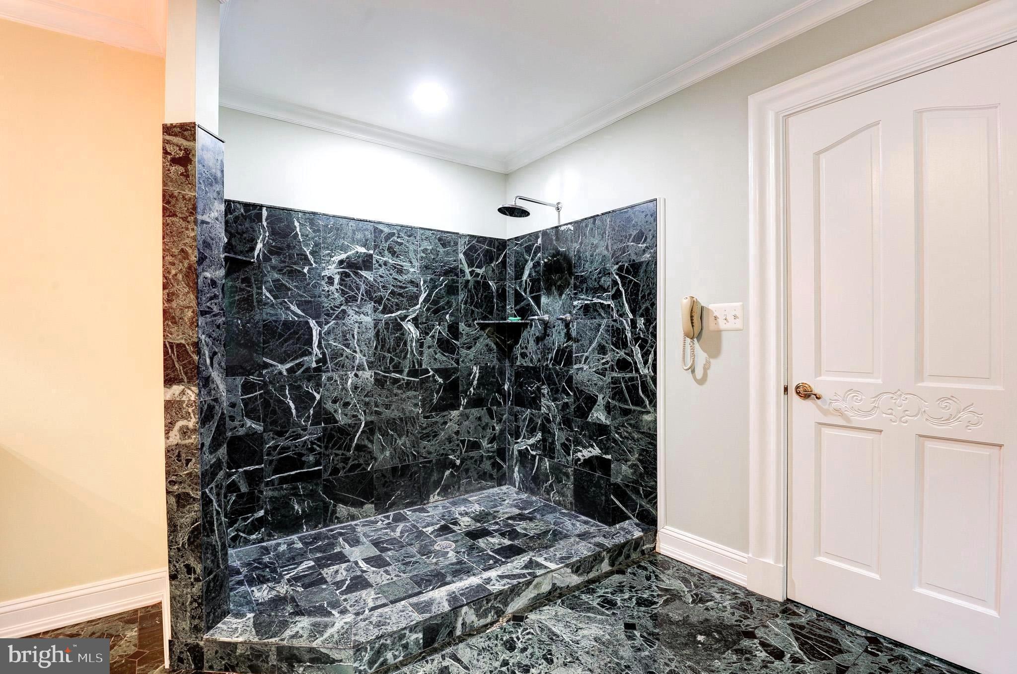 POTOMAC FALLS - Residential