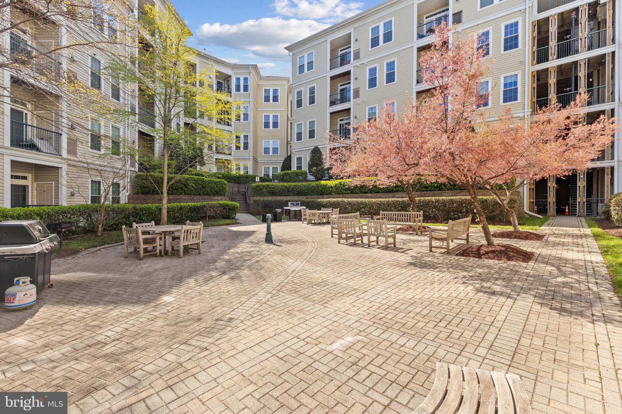 THE GROVE AT ARLINGTON - Residential