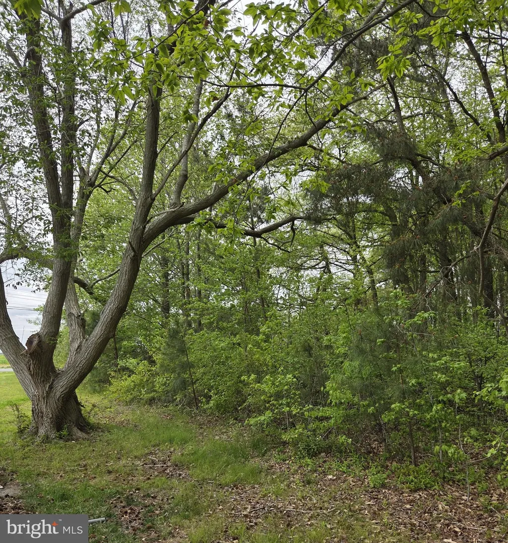 Additional image 2 of Pickering Beach Road, Dover, DE 19901