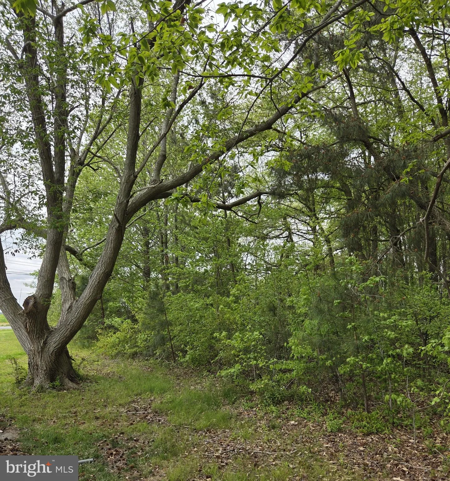 Additional image 5 of Pickering Beach Road, Dover, DE 19901