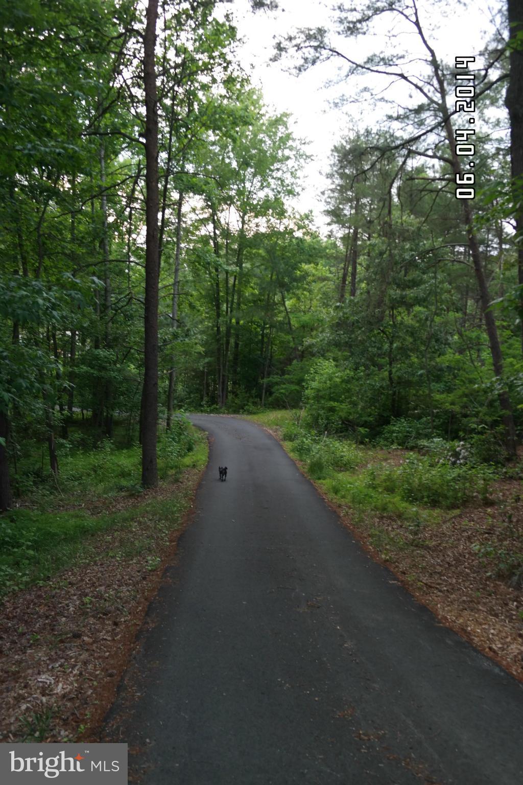 CURTIS BUSHELL - Residential