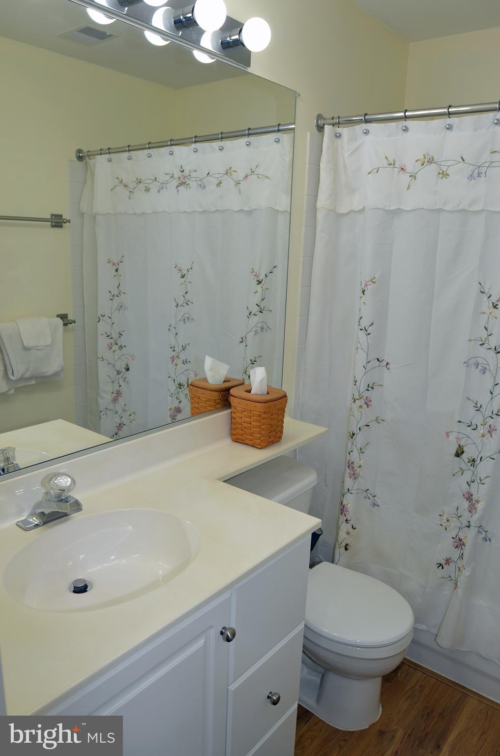 THE MEADOW AT NEW MARKET - Residential