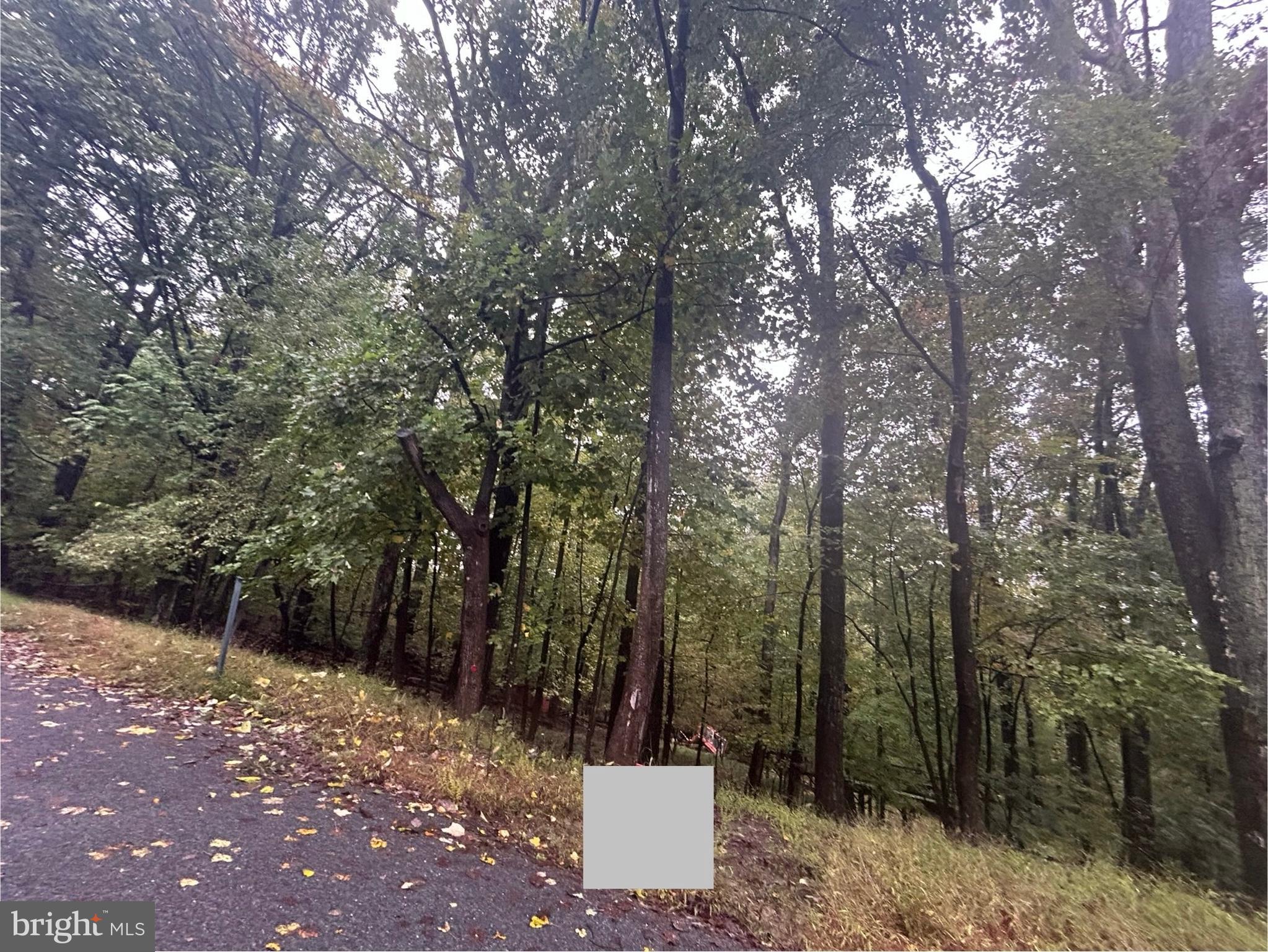 15943 WARBURTON DRIVE