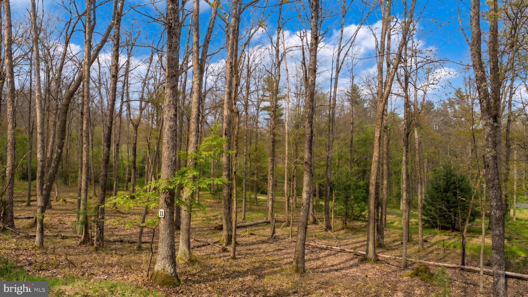 THOUSAND ACRES AT DCL - Land
