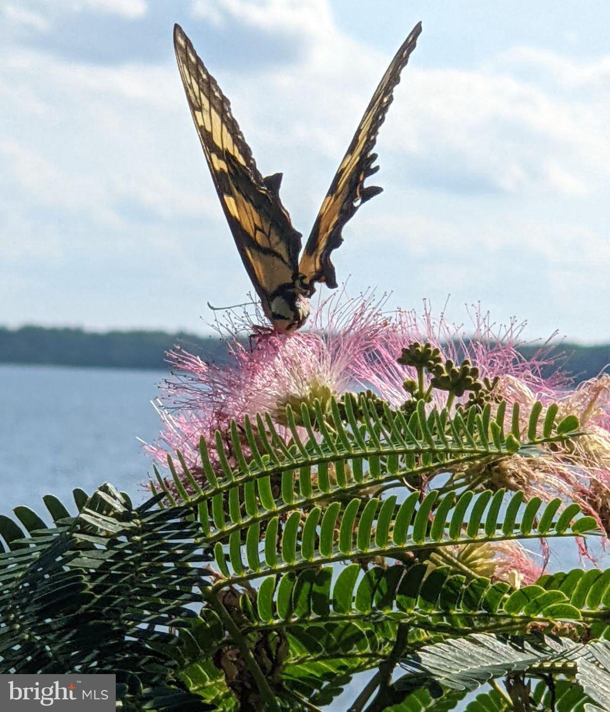 GLOUCESTER - Residential