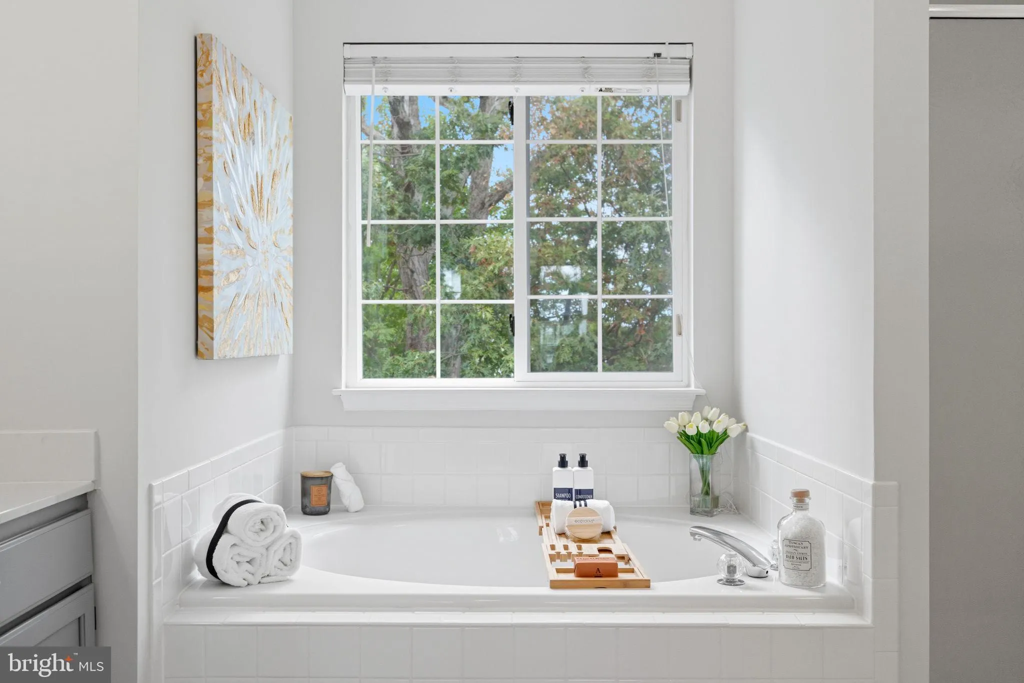 Ashburn, Virginia 20147, United States, 4 Bedrooms Bedrooms, ,4 BathroomsBathrooms,Residential,Contingent,226567