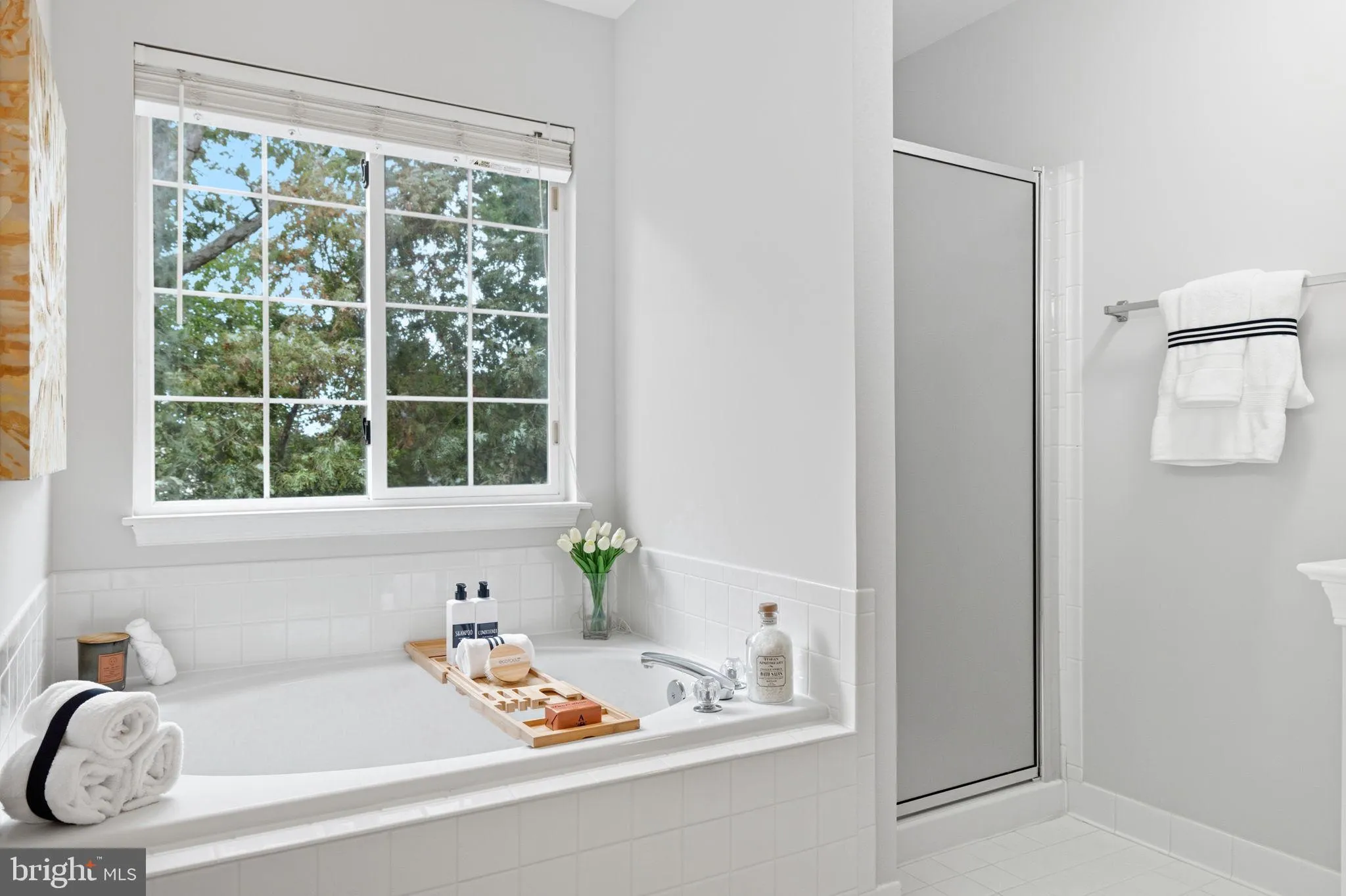 Ashburn, Virginia 20147, United States, 4 Bedrooms Bedrooms, ,4 BathroomsBathrooms,Residential,Contingent,226567