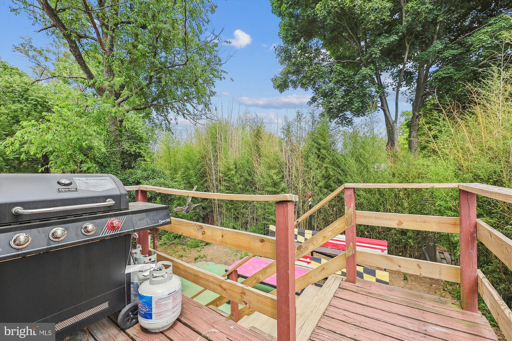 COLLEGE PARK - Residential