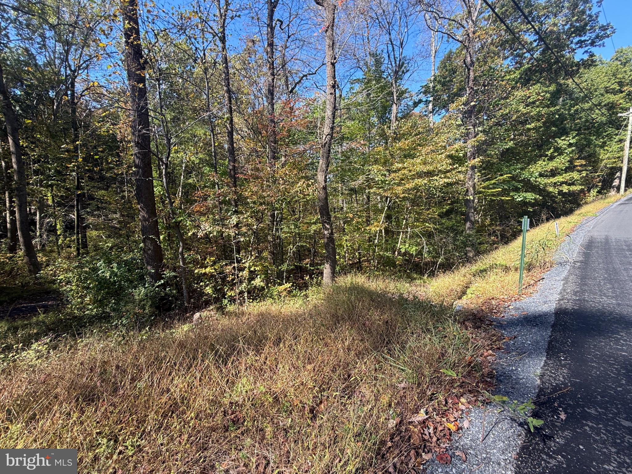 Lots 207-211 VENUS BRANCH ROAD