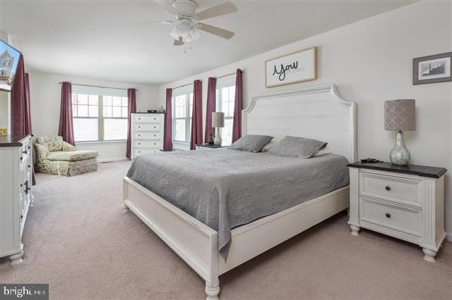 HOLLY RIDGE - Residential