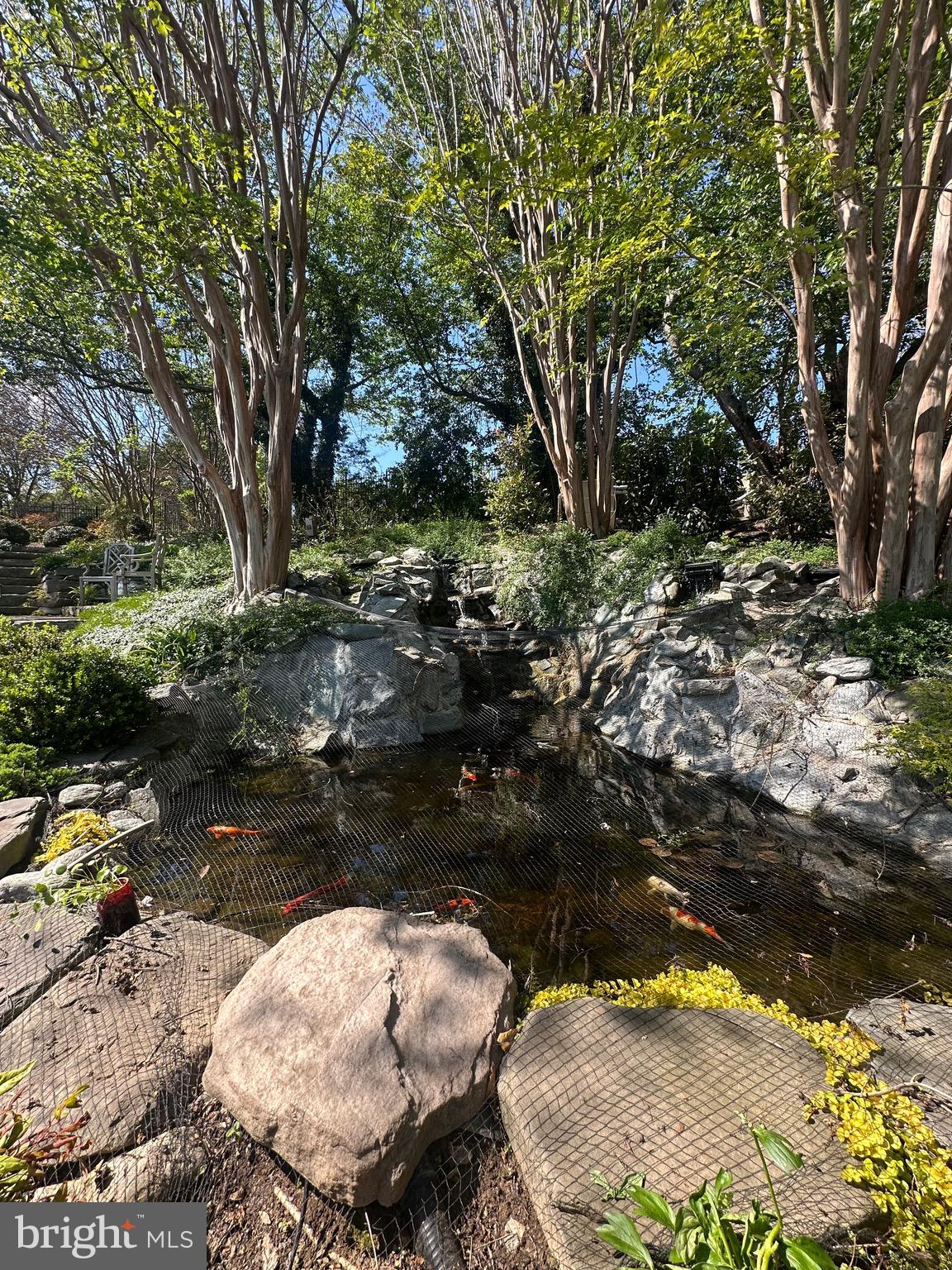SADDLE RIDGE - Residential