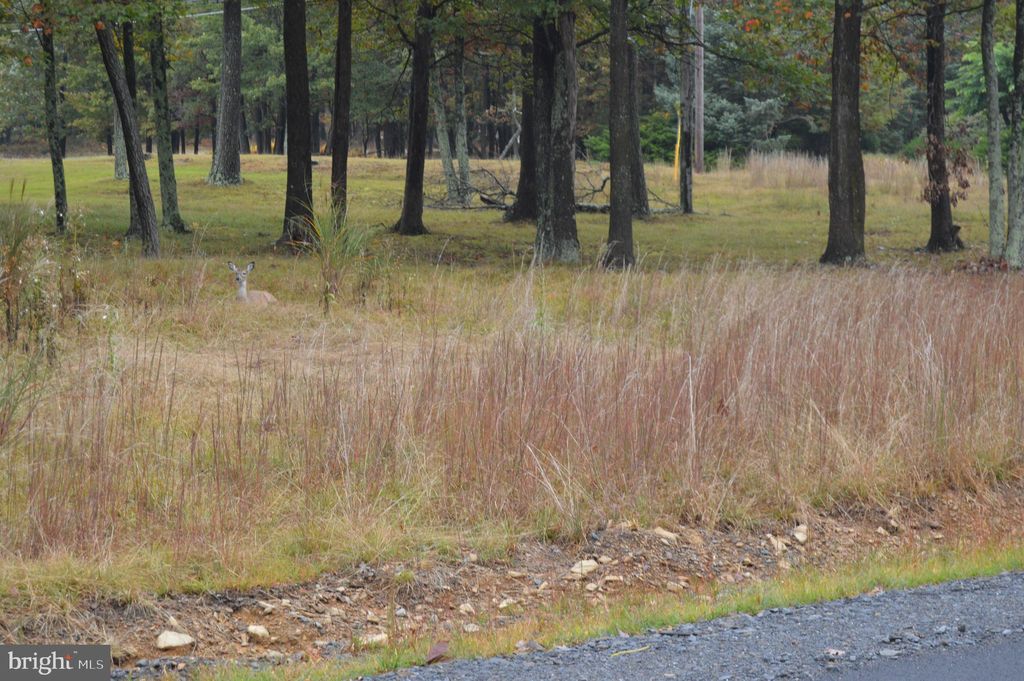 Photo of 120 Glen Eagles Drive, HAZLETON, PA 18202 (MLS # PALU2002658)