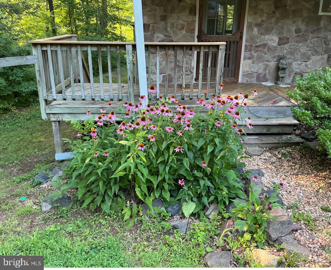 9742 BRENTSVILLE ROAD