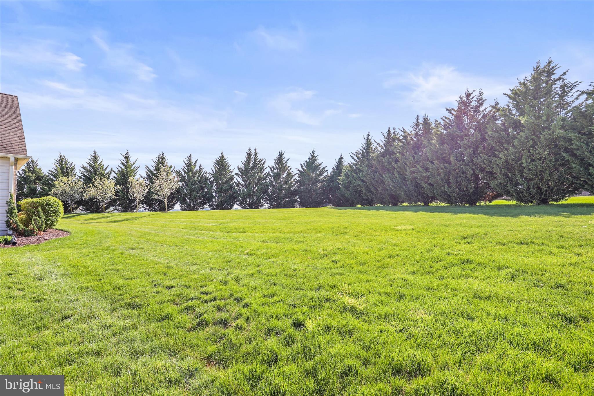 JACKSON HEIGHTS - Residential