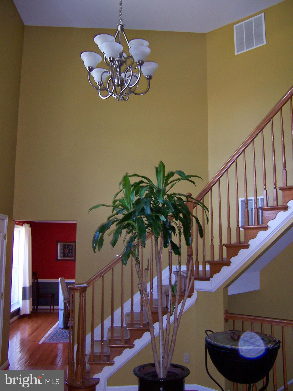 TREEVIEW ESTATES - Residential Lease