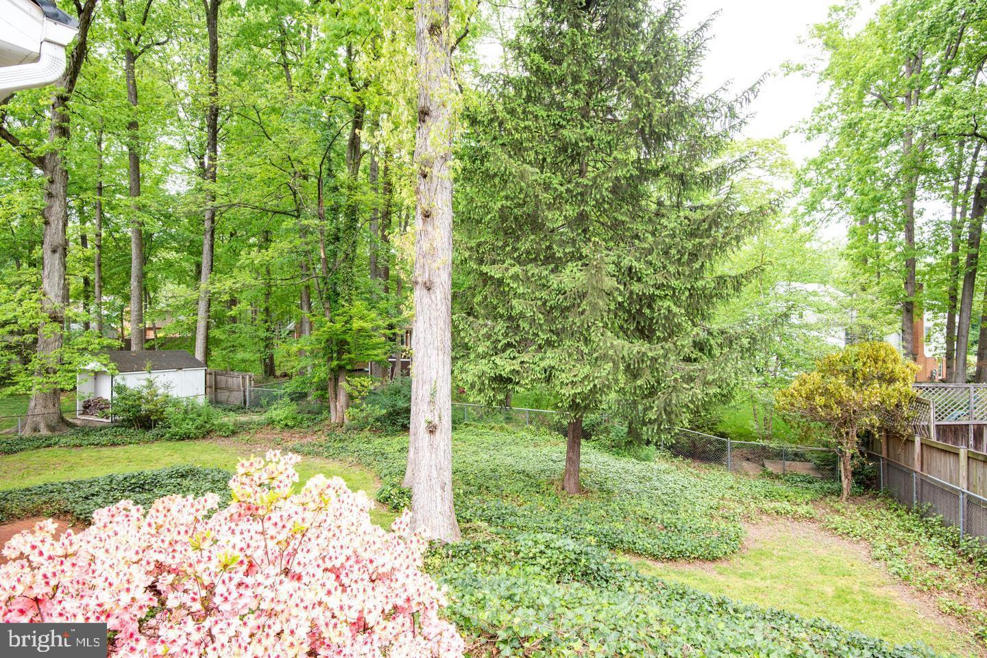 CARDINAL FOREST - Residential Lease