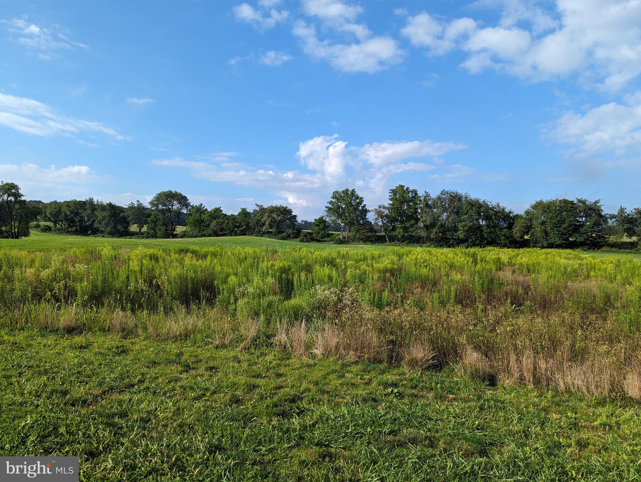 BARGER FIELDS - Land