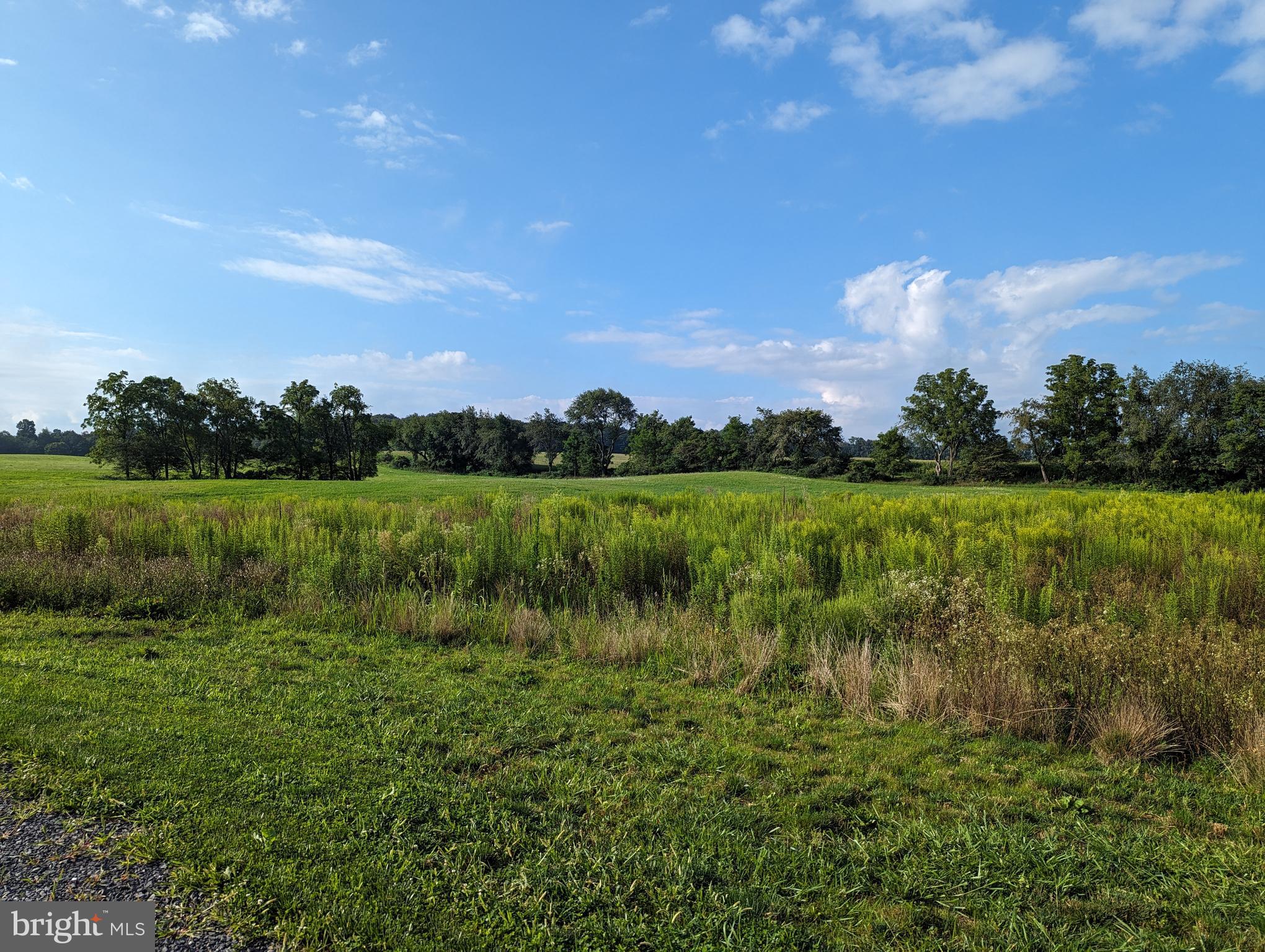 BARGER FIELDS - Land