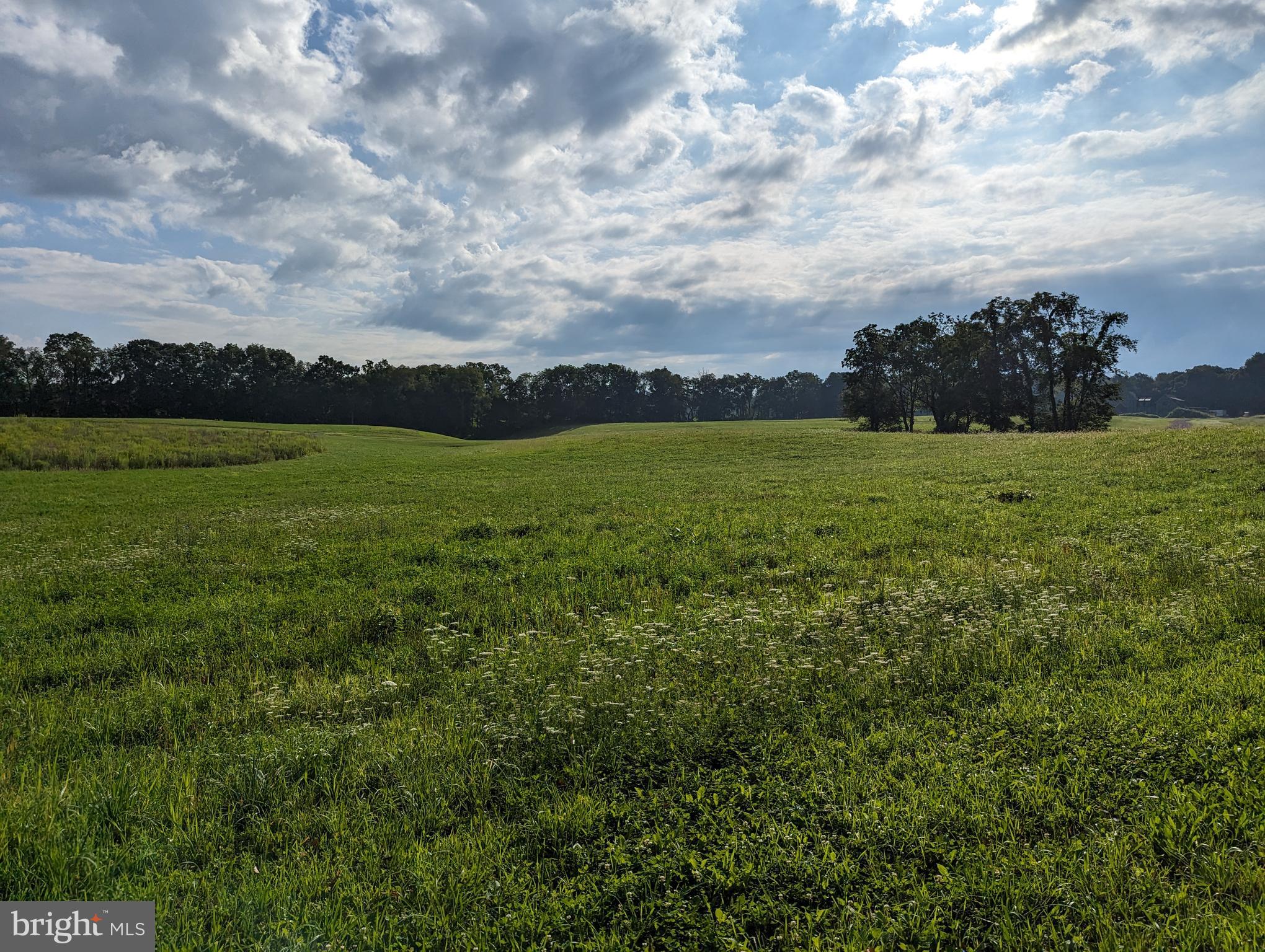 BARGER FIELDS - Land