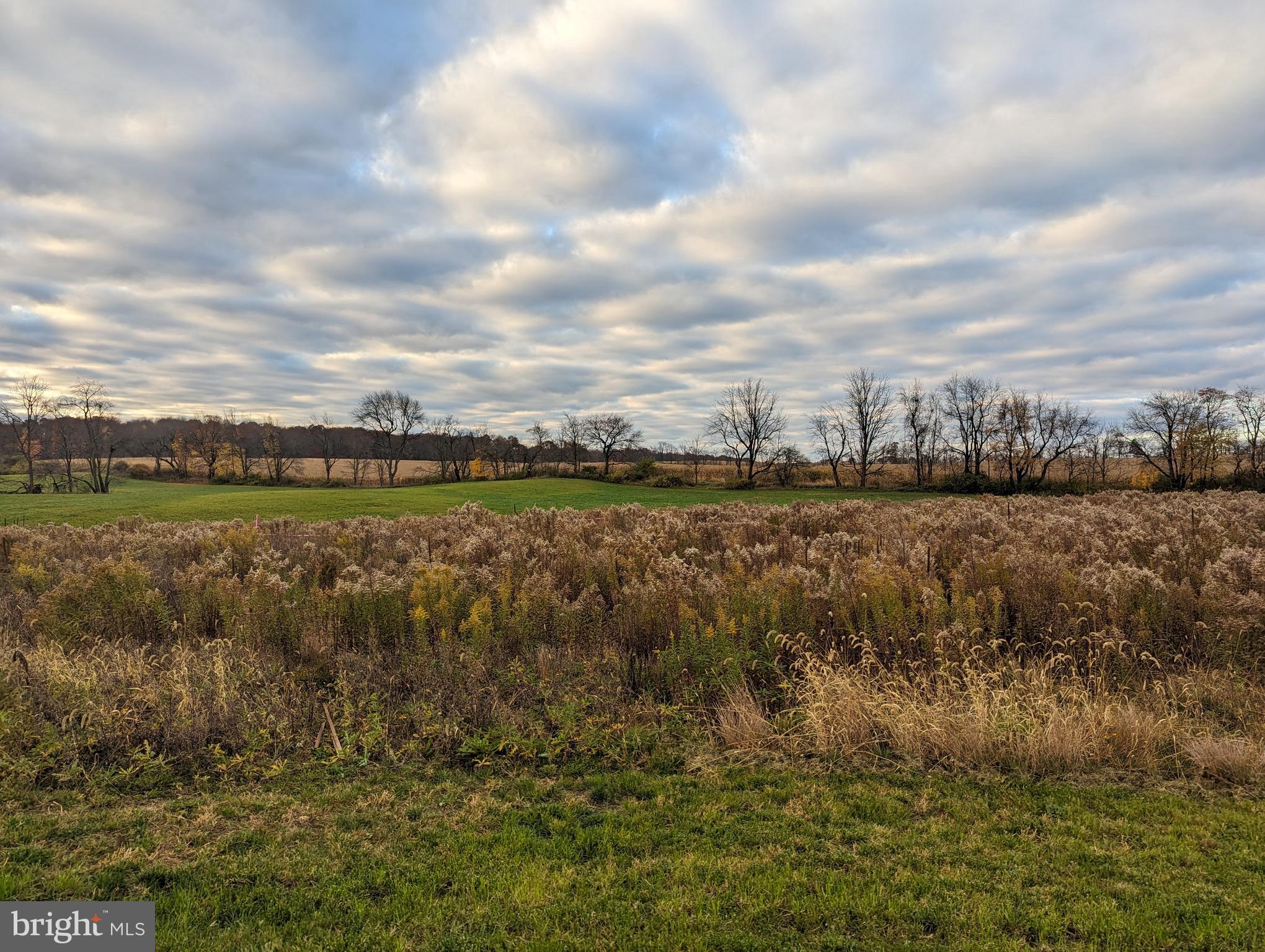 BARGER FIELDS - Land
