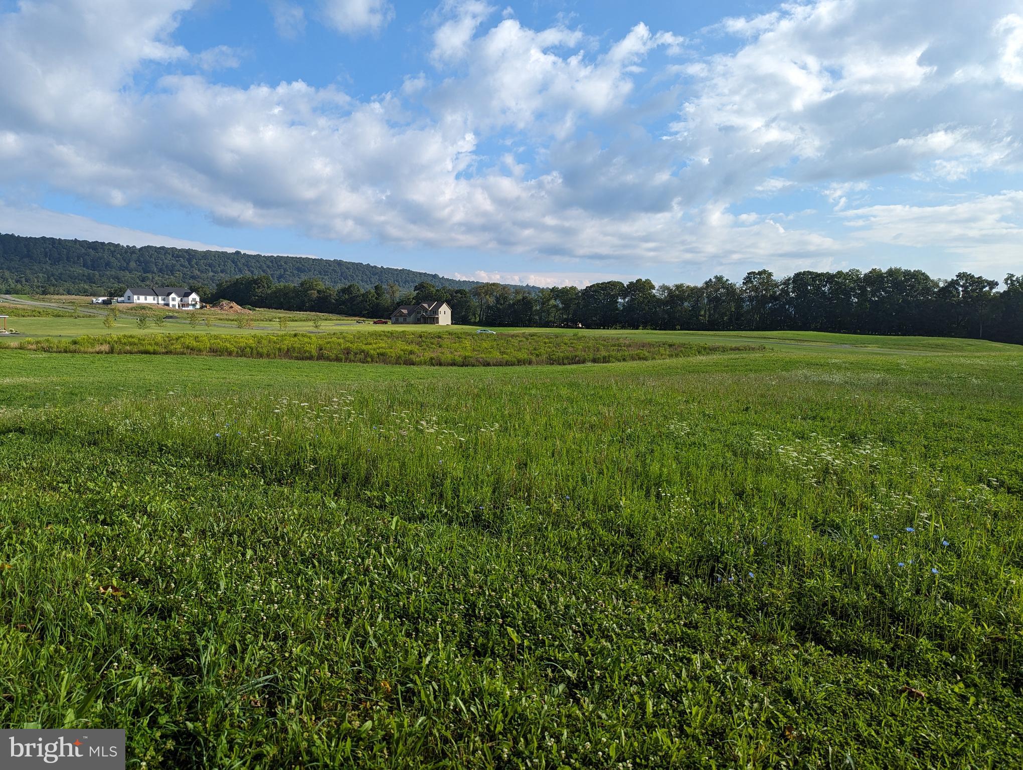 BARGER FIELDS - Land