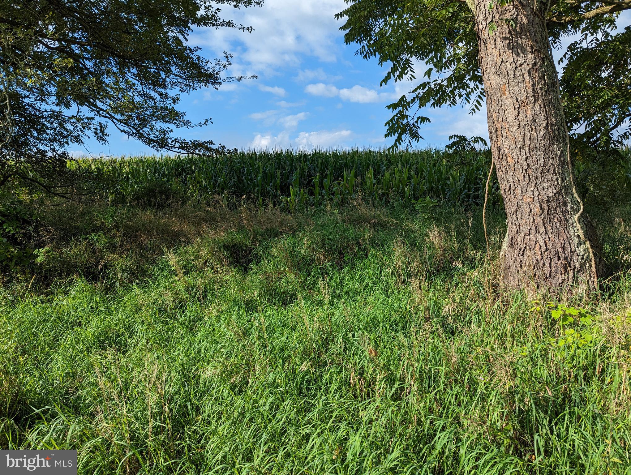 BARGER FIELDS - Land