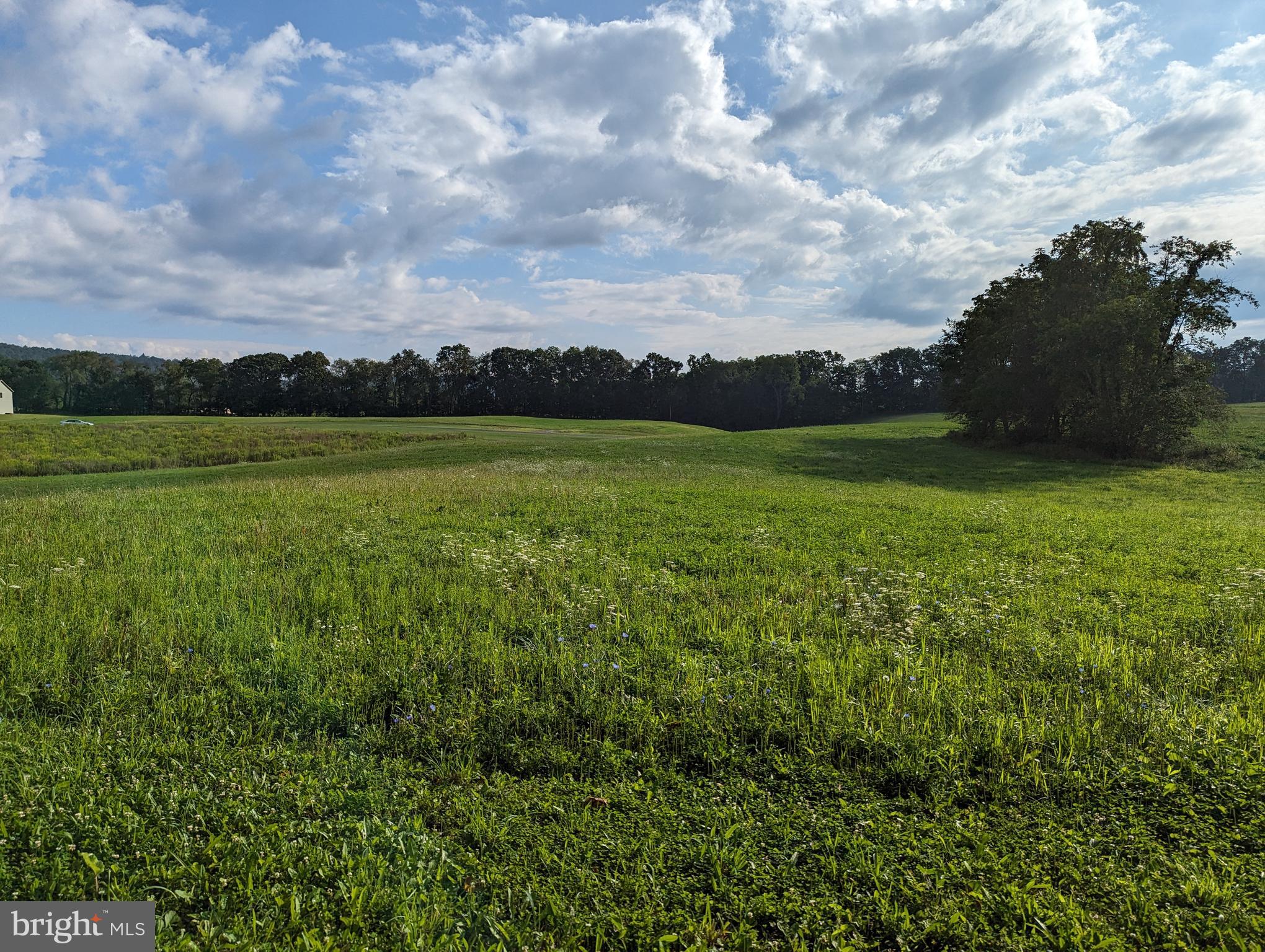 BARGER FIELDS - Land