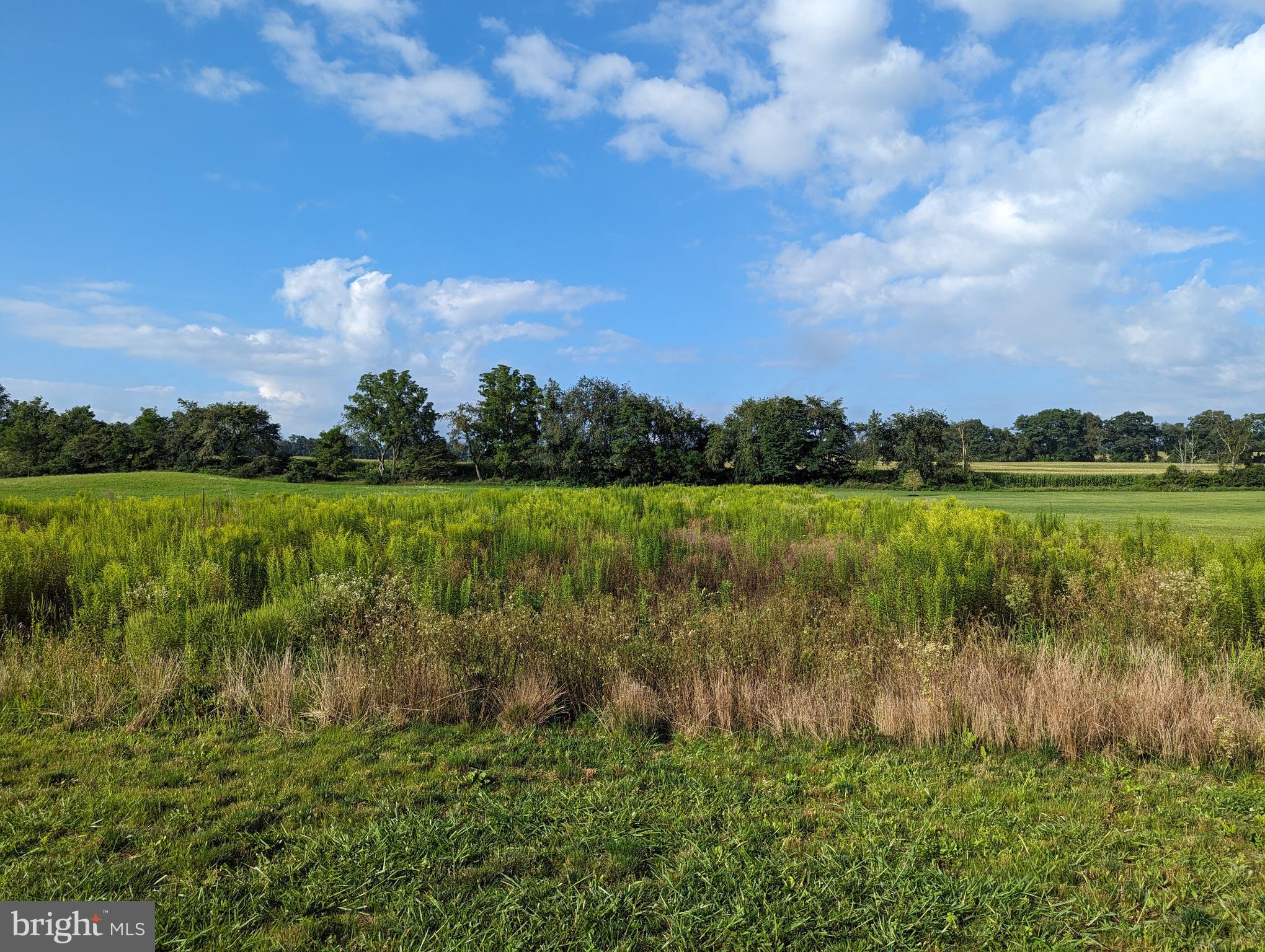 BARGER FIELDS - Land