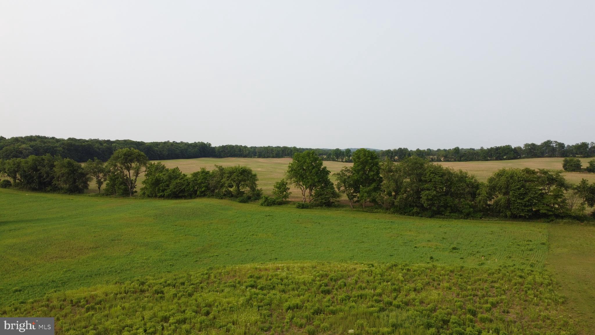 BARGER FIELDS - Land
