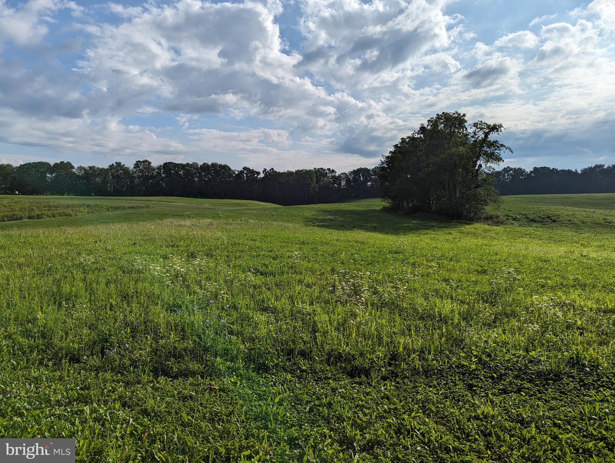 BARGER FIELDS - Land
