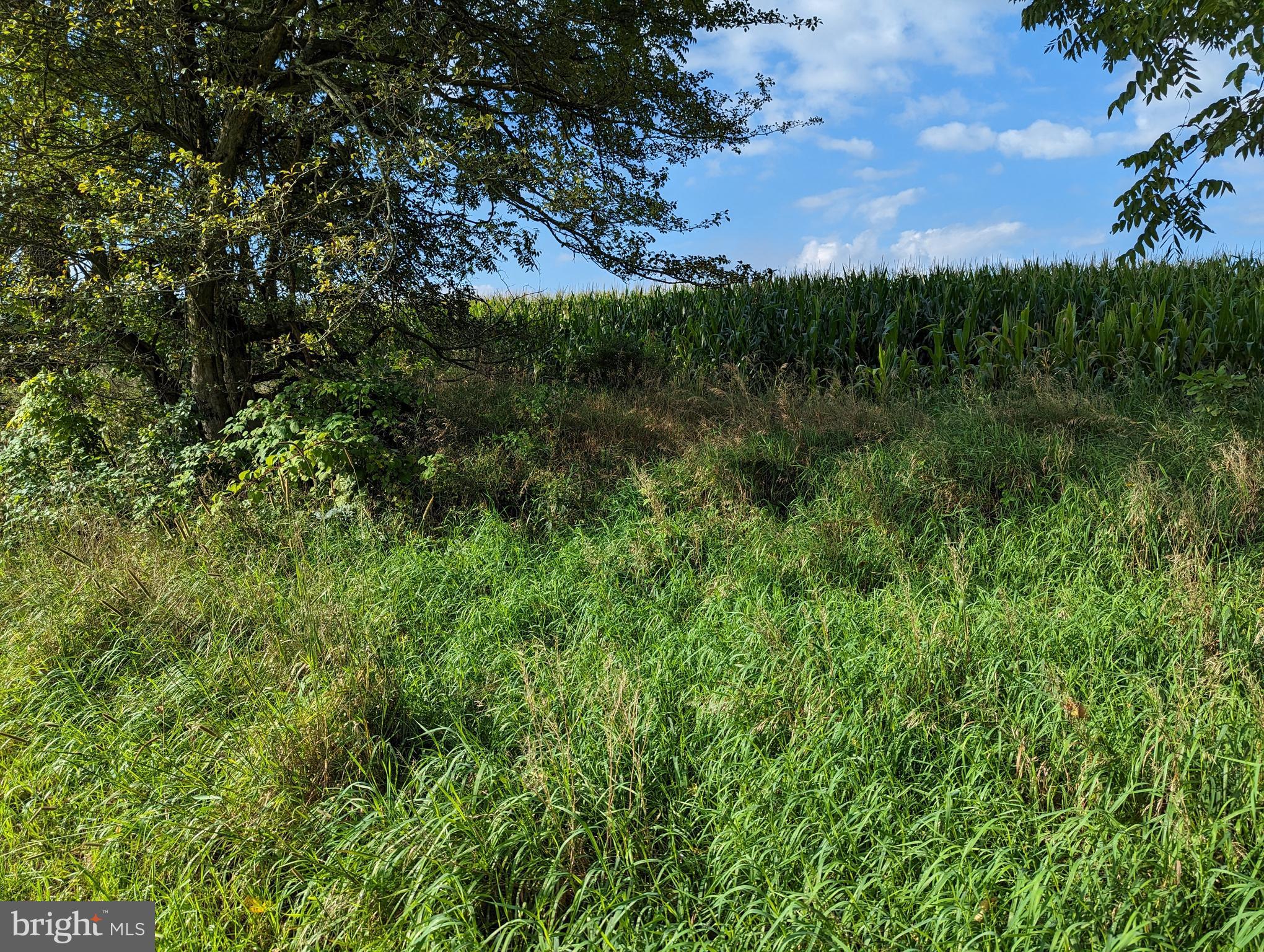 BARGER FIELDS - Land