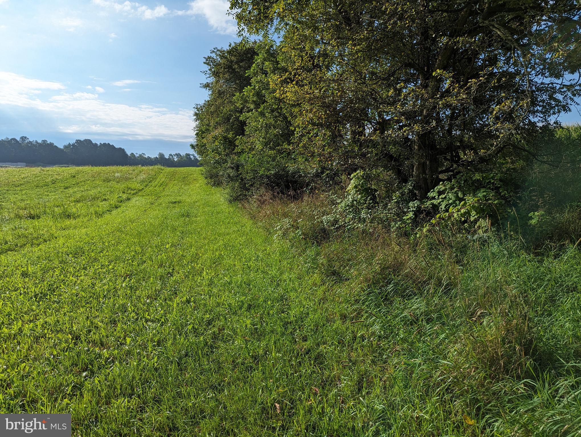 BARGER FIELDS - Land