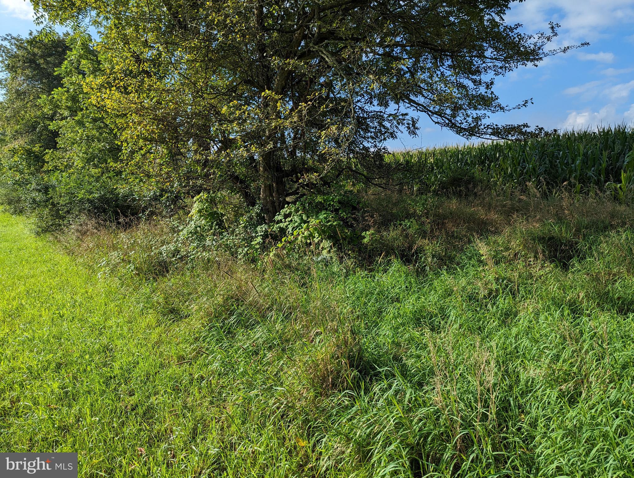 BARGER FIELDS - Land