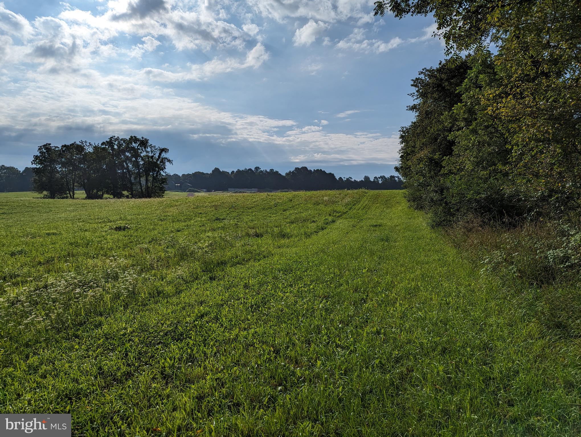 BARGER FIELDS - Land