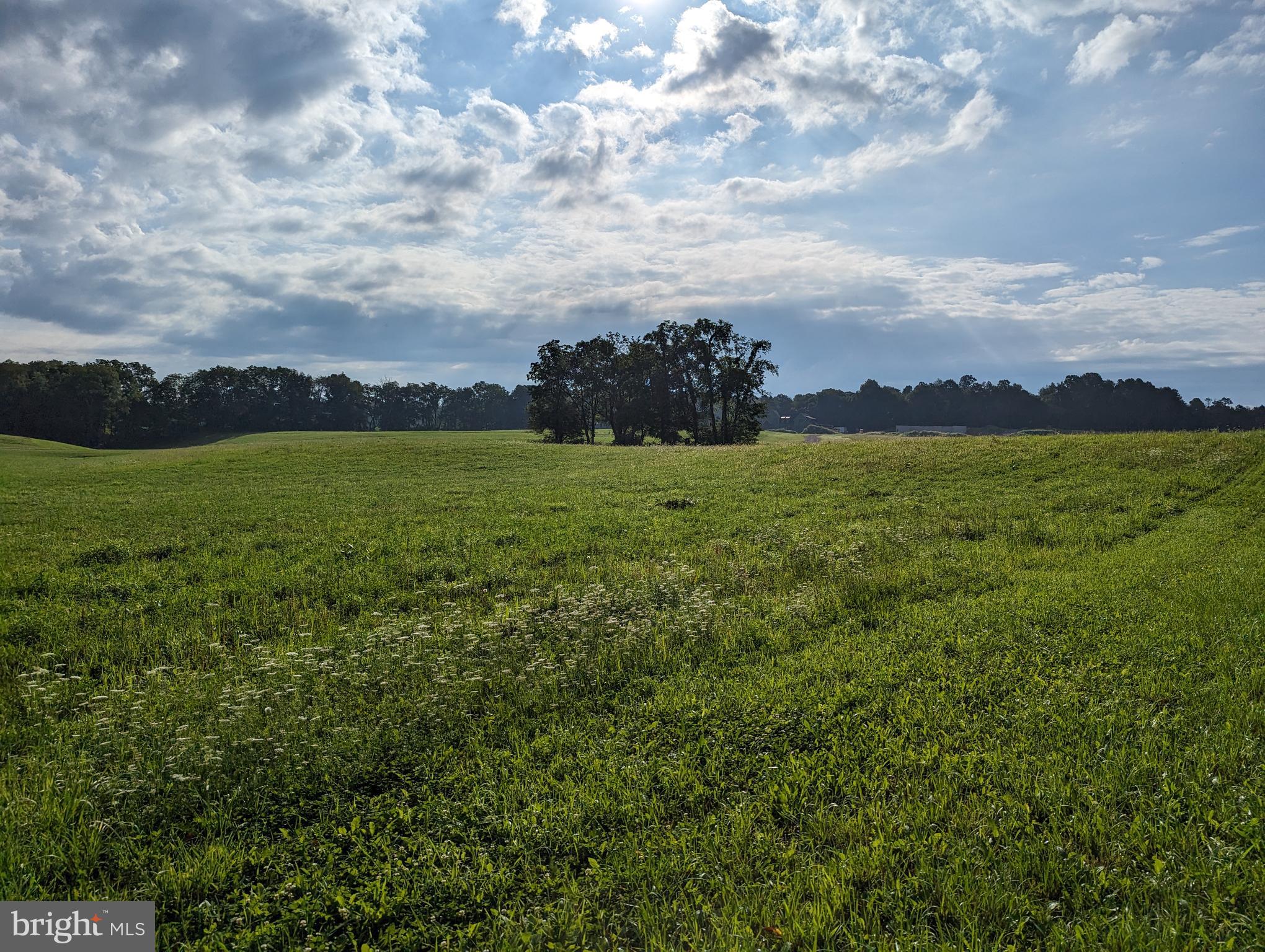 BARGER FIELDS - Land