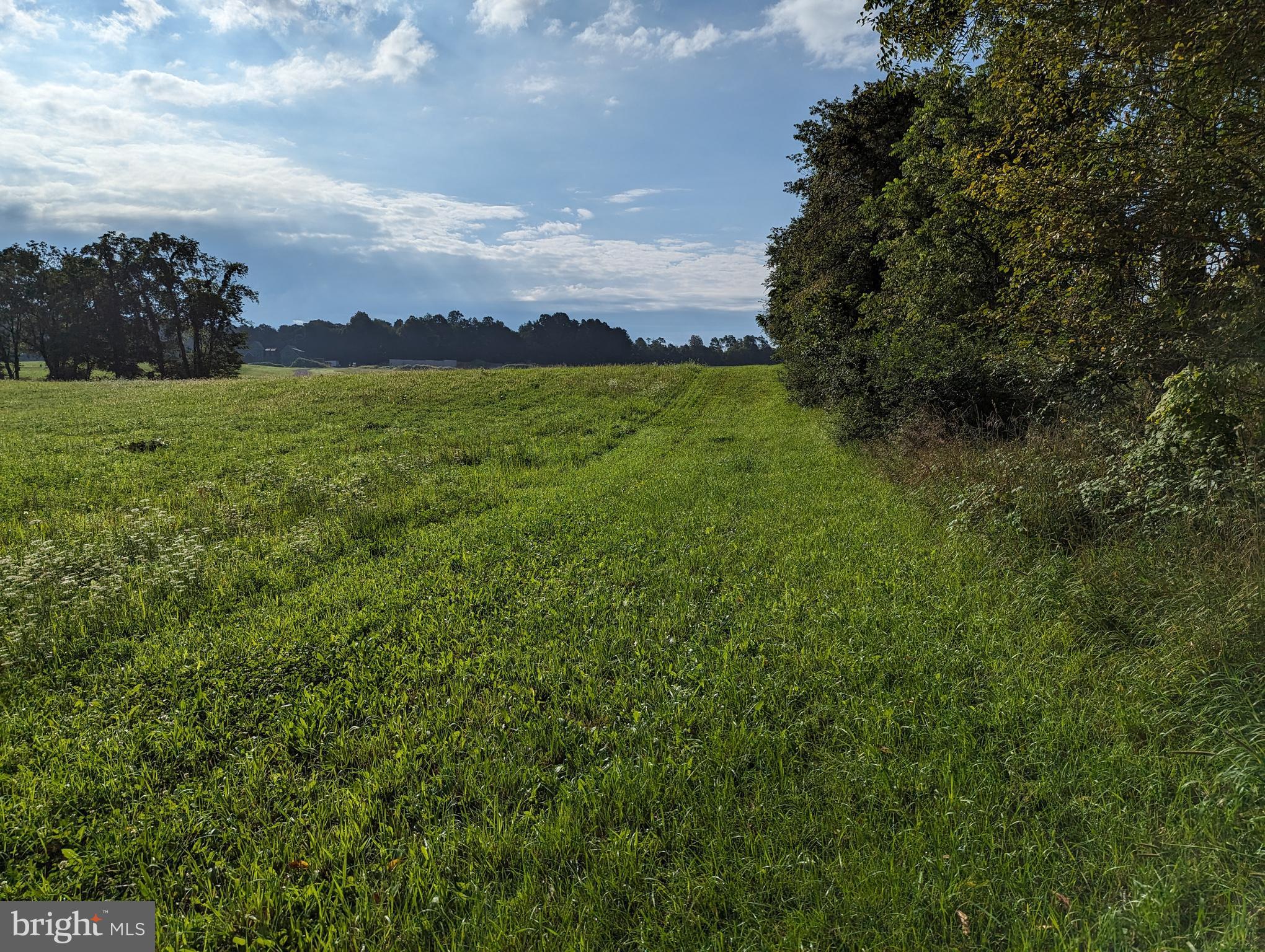 BARGER FIELDS - Land