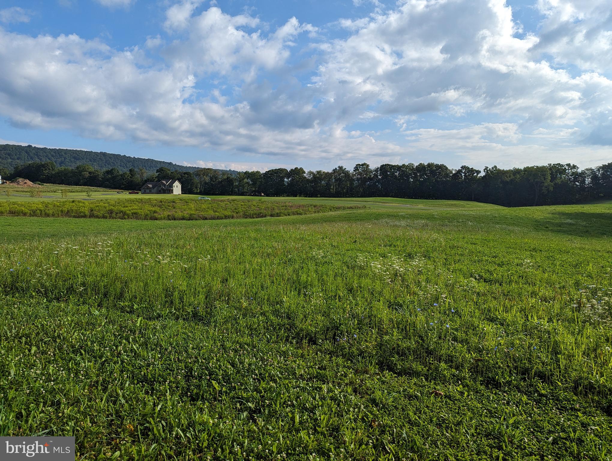 BARGER FIELDS - Land