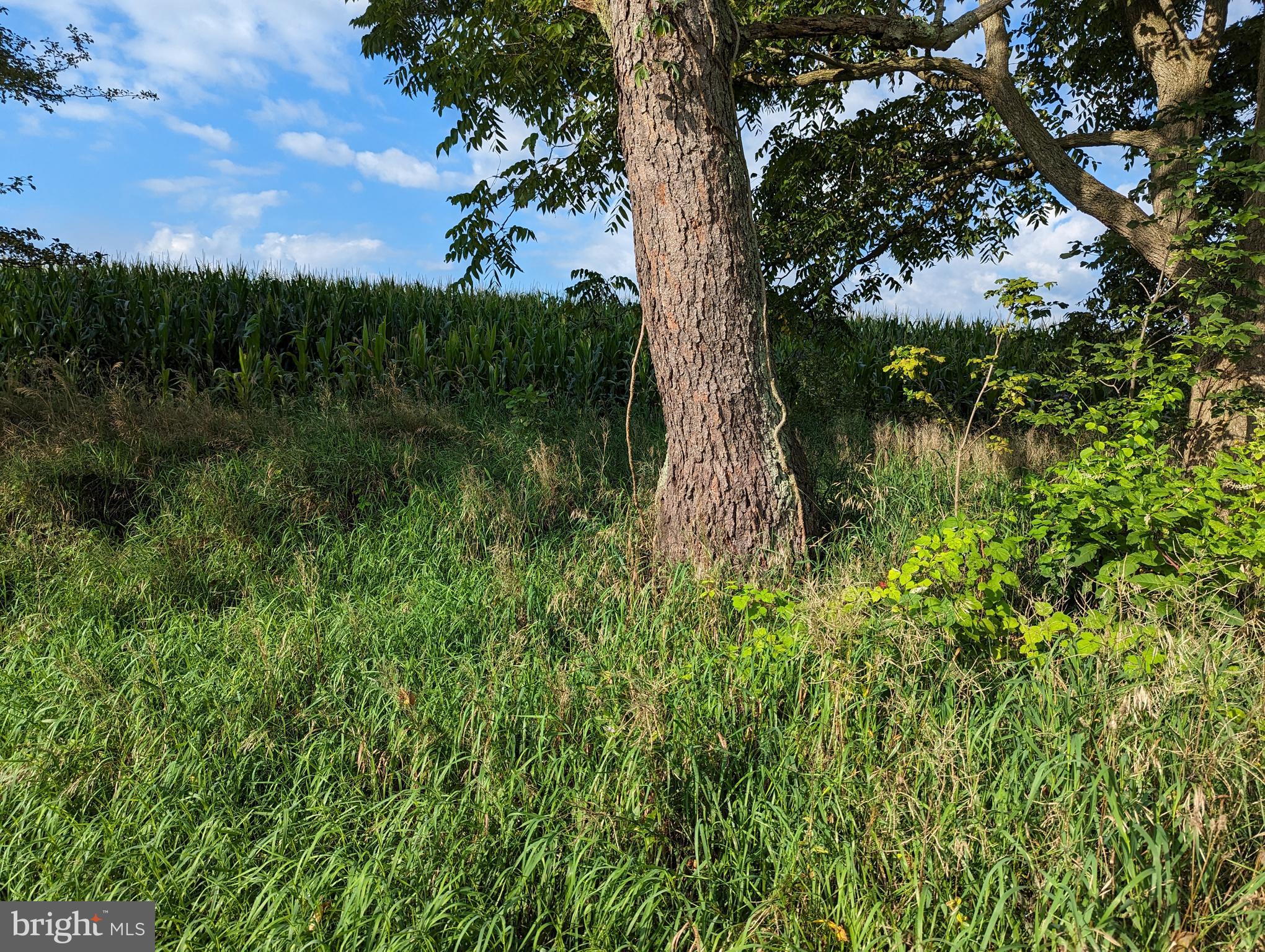 BARGER FIELDS - Land