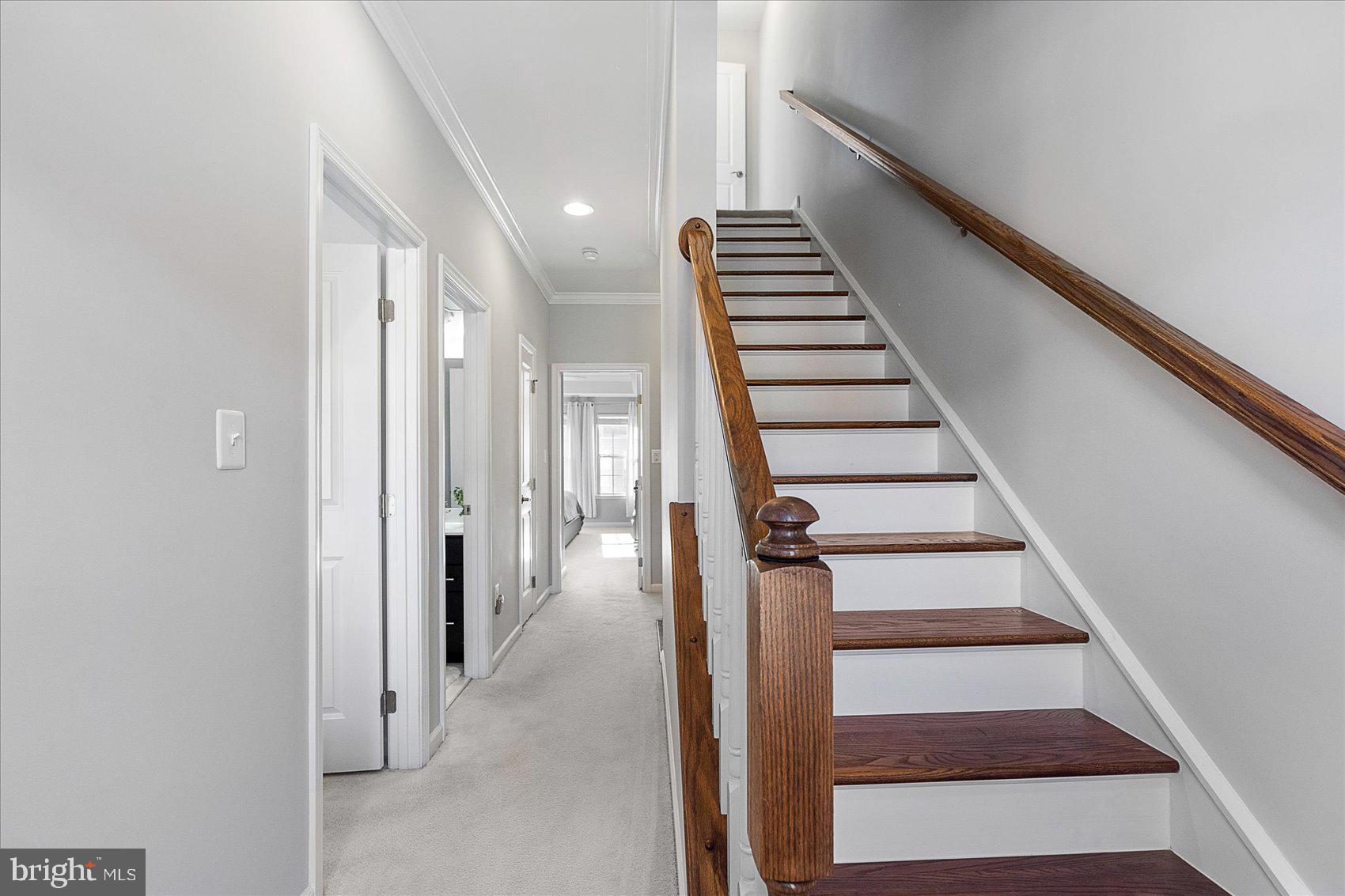 O'DONNELL SQUARE - Residential