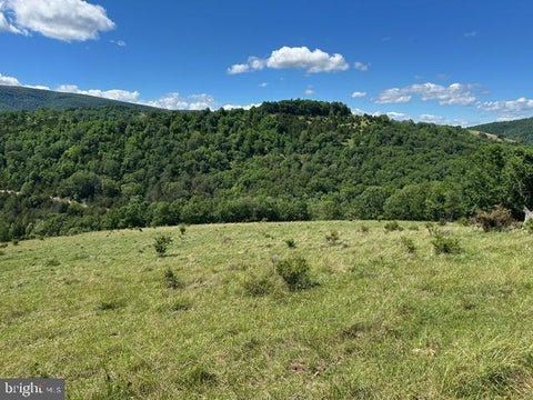 Vacant Land For Sale - 1096 Strauter Road<br/> FRANKLIN, WV 26807