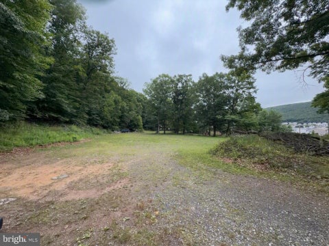 Vacant Land For Sale - E Diaz Avenue<br/> Carbon County, NESQUEHONING, PA 18240