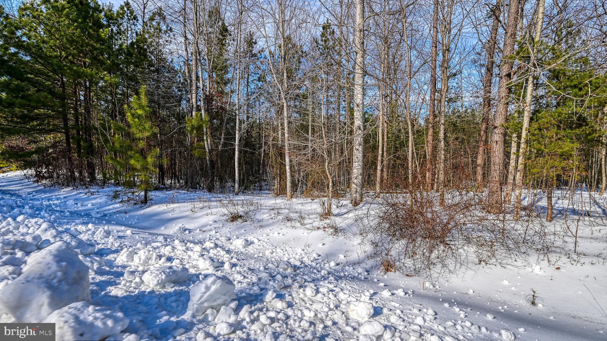 THE WATERS AT LAKE ANNA - Land