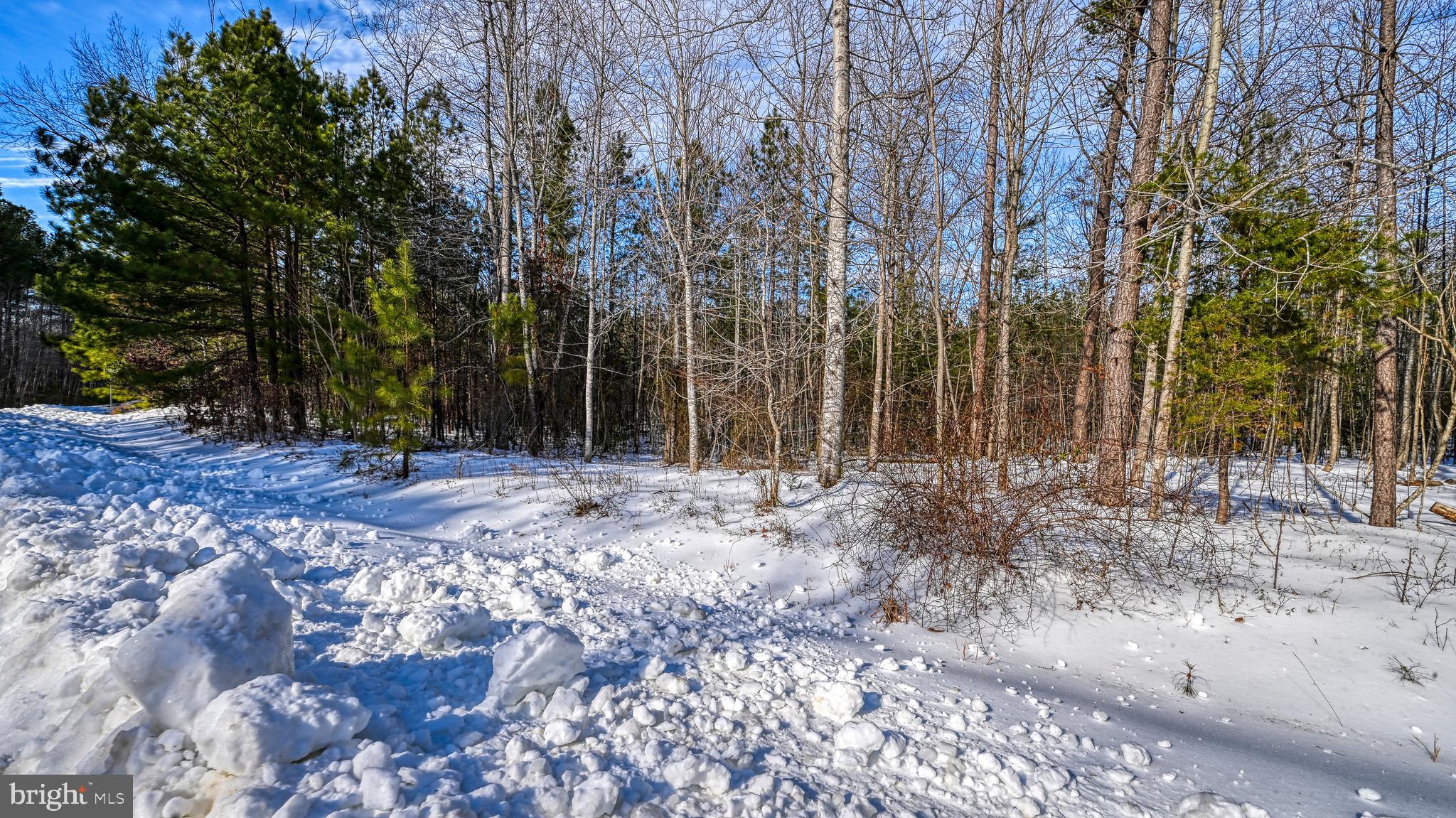 THE WATERS AT LAKE ANNA - Land