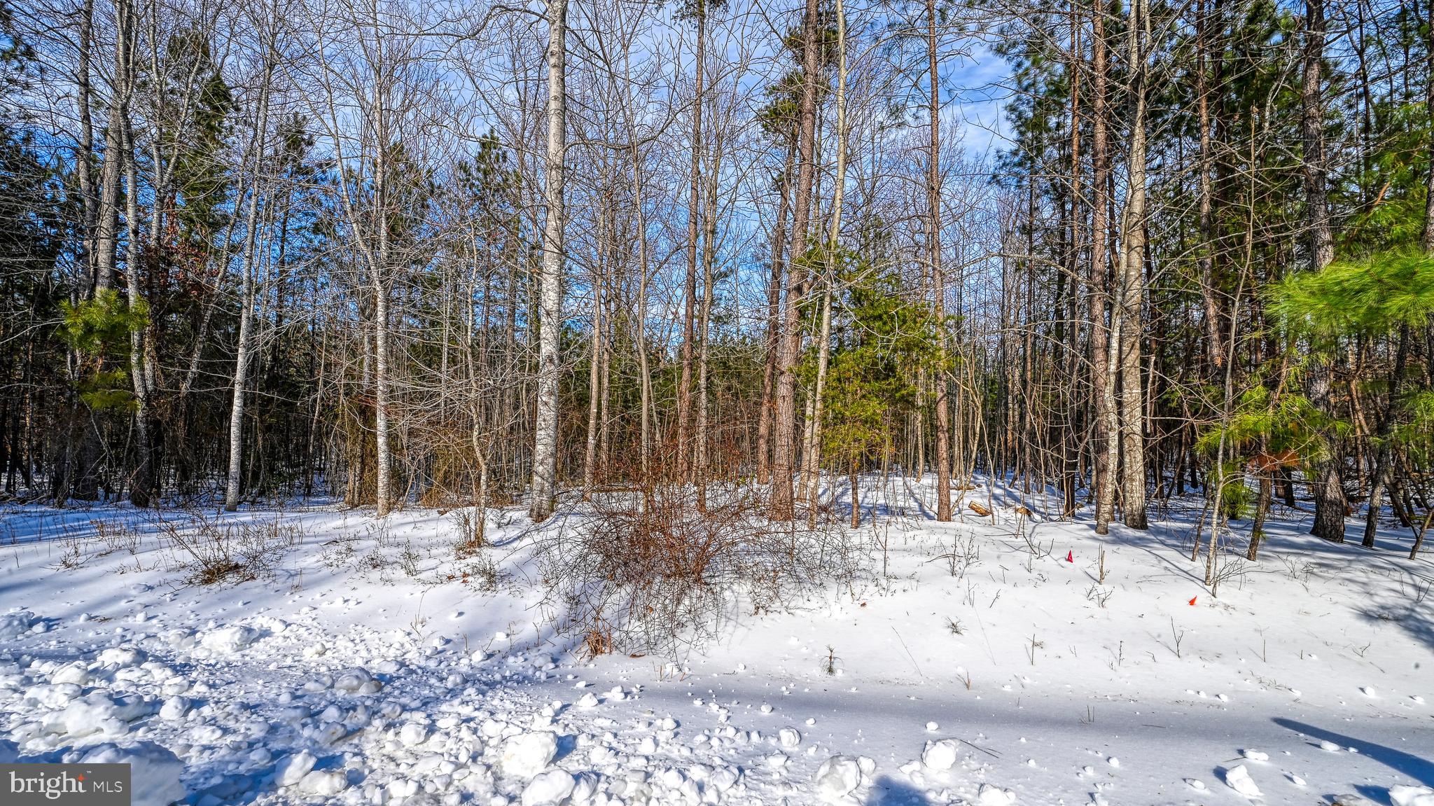 THE WATERS AT LAKE ANNA - Land