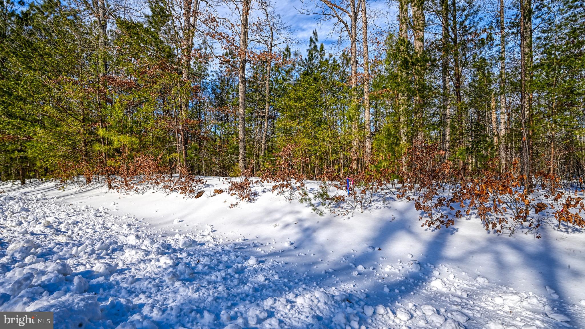 THE WATERS AT LAKE ANNA - Land