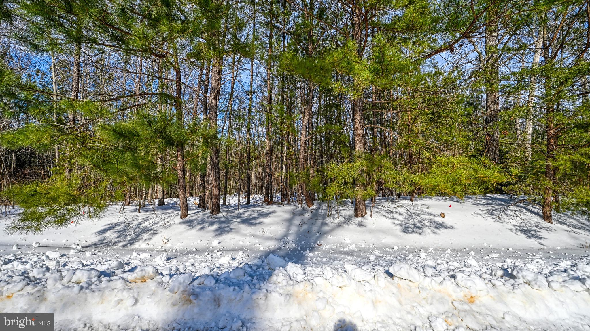 THE WATERS AT LAKE ANNA - Land
