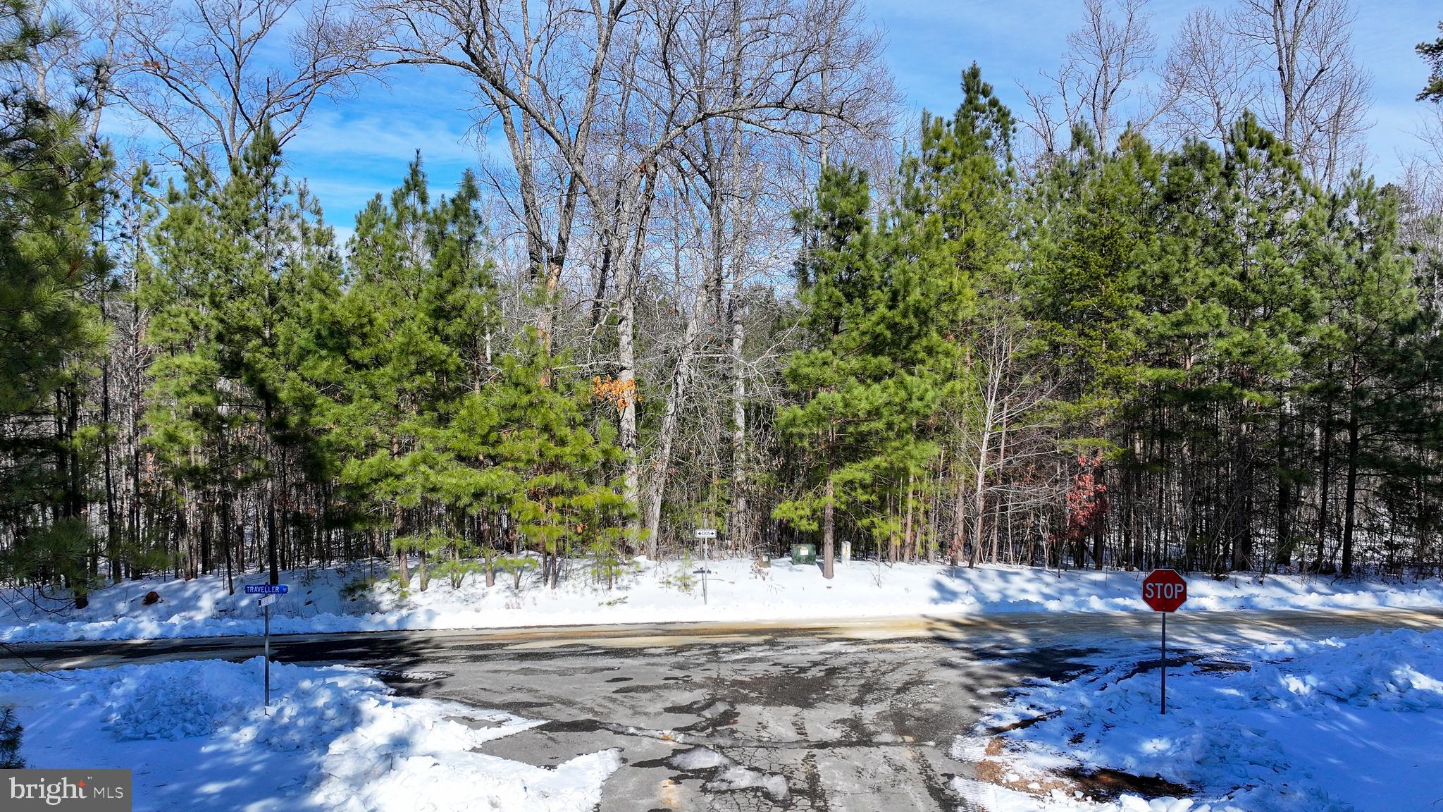 THE WATERS AT LAKE ANNA - Land