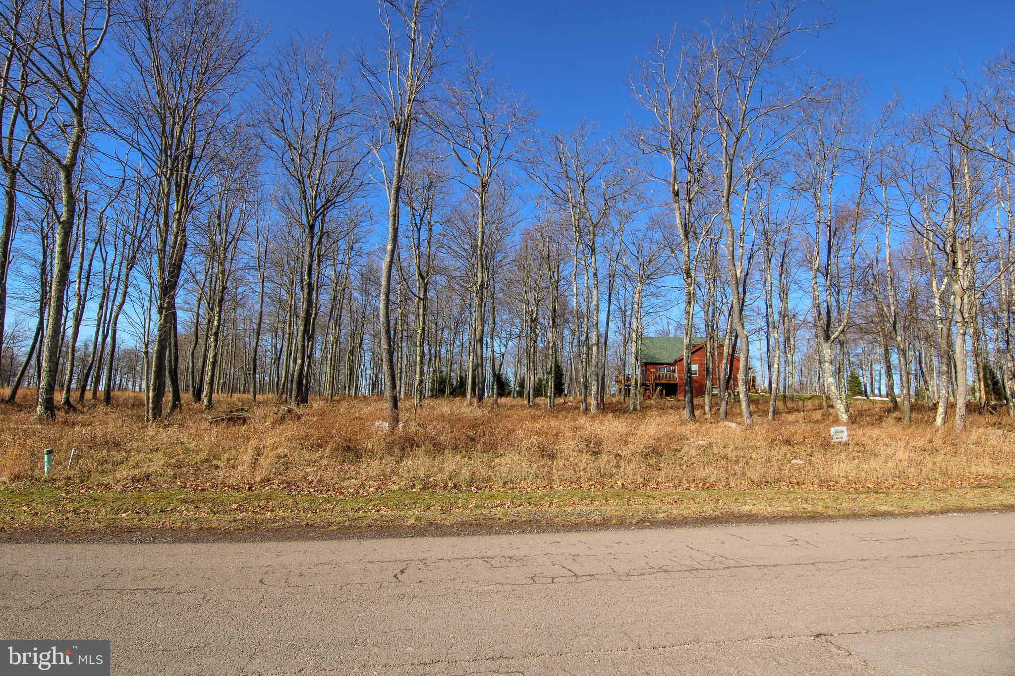 LOT 50 BILTMORE RIDGE TRAIL